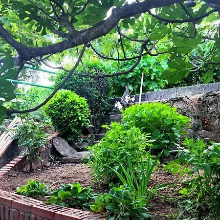 Dom wakacyjny Moiko La Parra (Castile and Leon)