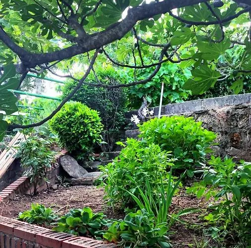 펜션 Moiko La Parra (Castile and Leon)